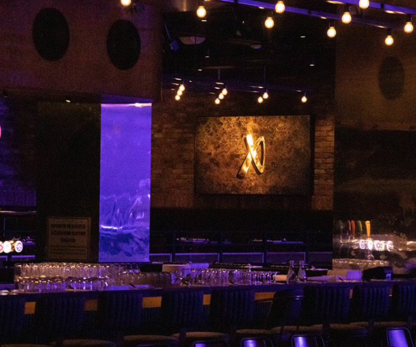 זאפה תל אביב החדש