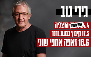 גידי גוב