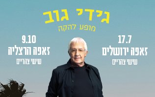 גידי גוב